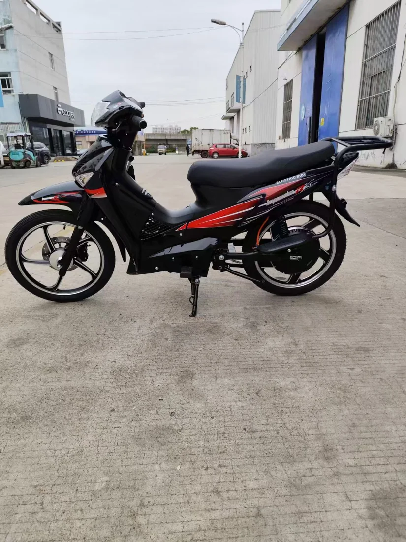 D13 Electric commuter bike